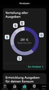 Finanzguru-App-Analysen
